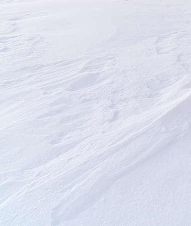snow background textureの写真素材
