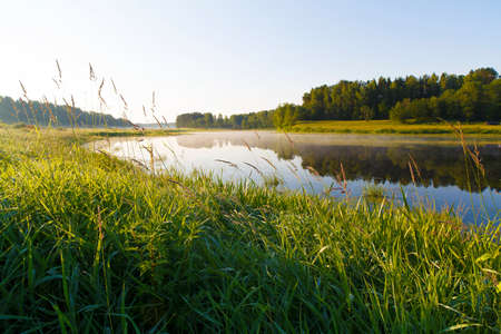 Morning on the river bank in the village.の写真素材