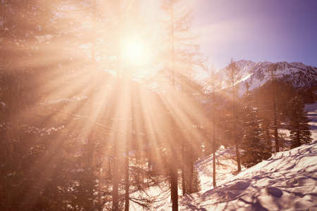 Sun over winter mountains, covered with snowの写真素材