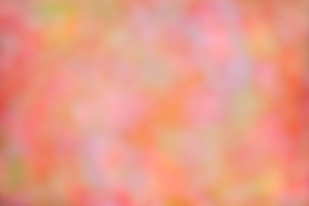 Autumn. Blurred Fall Abstract autumnal background with colorful leaves and sun