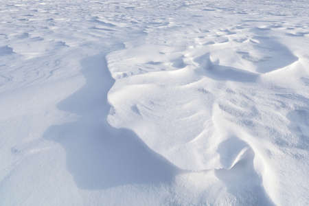 snow background textureの写真素材