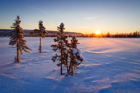 Winter Sunrise landscapeの写真素材