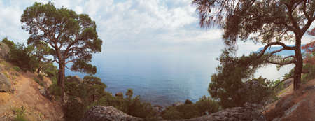 Panorama sea pine rock mountain backgroundの写真素材