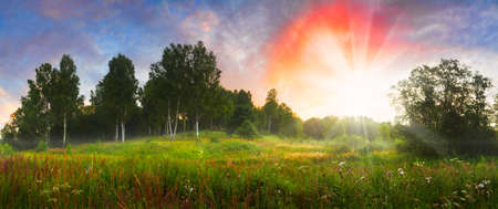 landscape with the sunrise, a blossoming meadow and fog,panoramaの写真素材