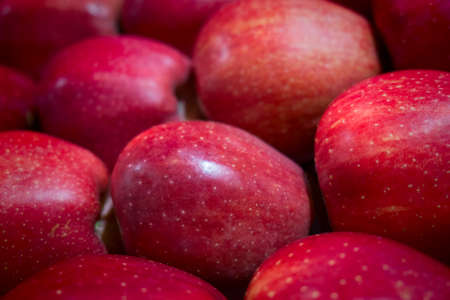 Red apples backgroundの写真素材