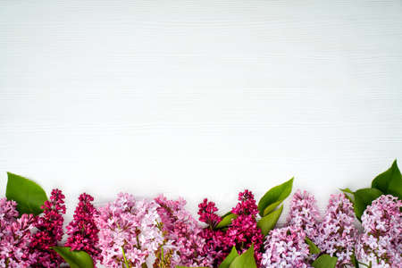 Spring flowers. Lilac flowers on white wooden background. Top view, flat lay, copy spaseの写真素材