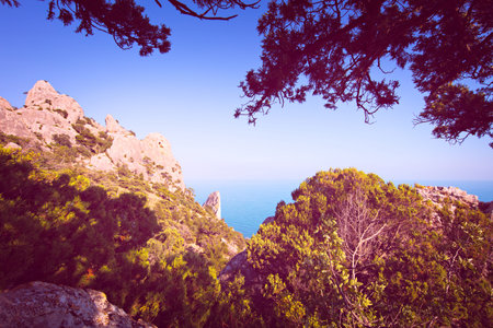 Beautiful tropical landscape with the top of the mountain overlooking the rocks and the sea, framed by pine branches, tinted in vintage style, high resolution for printing.の写真素材