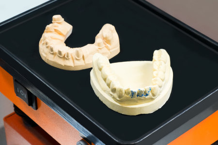 manufacture of molds for dentures in laboratory
