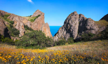 Mountain sea. Mountain flowers landscapeの写真素材
