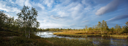Beautiful panorama of the landscape in the northern forest, high resolution for print.の写真素材