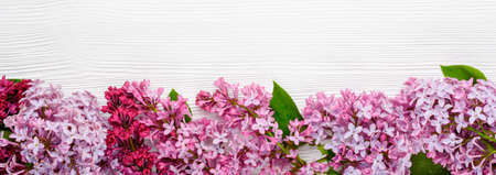 Web banner spring lilac flowers on white wooden background. Top view, flat lay, copy spaseの写真素材