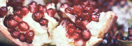 Web banner sweet ripe pomegranate close-up, toned in vintage styleの写真素材