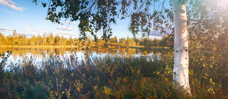 Seasons landscape for web bannersの写真素材