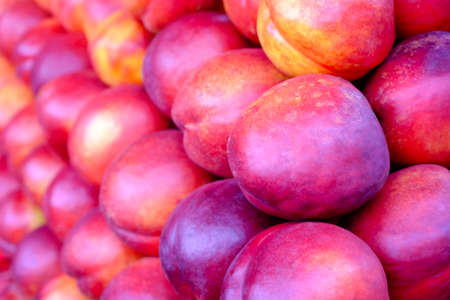 bright nectarines in the marketの写真素材