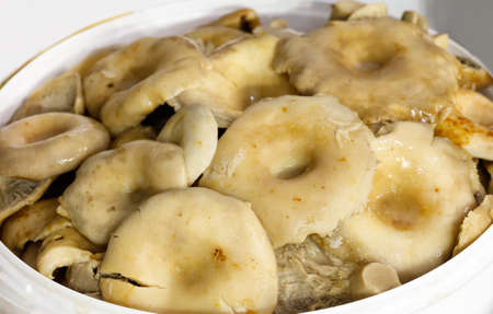 Pickled milk mushrooms and other food on a market stall. Pile of Lactarius mushrooms salted in a bucket for saleの写真素材