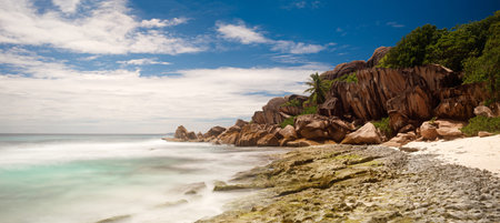 Palm and tropical beach panorama. La Digue island, Seychelles, Grand Anse beach