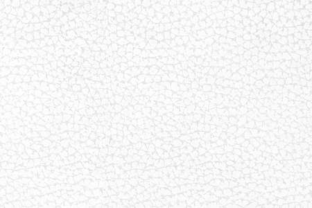 White Fabric Texture. Skin textureの写真素材