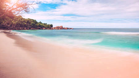 Palm and tropical sea beach, vacations  holiday or travel concept  backgroundの写真素材