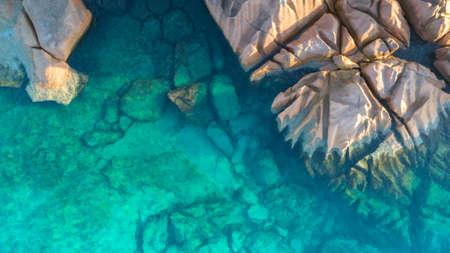 Tropical island with sea and palm taken from drone. Seychelles aerial photo. St Pierre Islandの写真素材