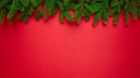 New year natural spruce branches border on red background, Happy New Year concept backgroundの写真素材