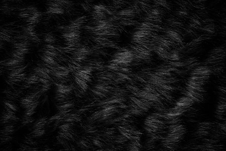 Black wool texture background, dark natural sheep wool, black seamless cotton, texture of gray...