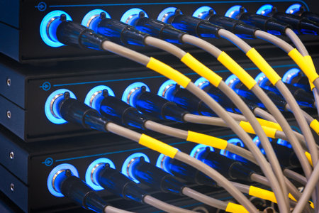 Wires connected to the network server, optical fiber. Network cables closeup with fiber optical...