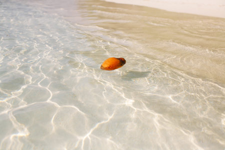 Sandy tropical sea beach for Summer holiday and vacation concept for tourism.