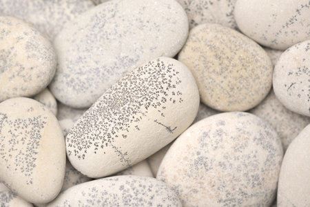 abstract background with dry round gray reeble stones, gray close-up pebbles background, spa...