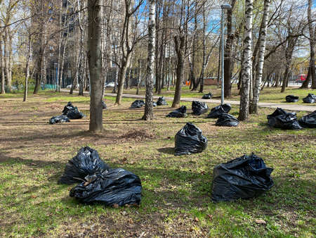 Spring cleaning in public park, black polyethylene trash bags with rubbishの写真素材