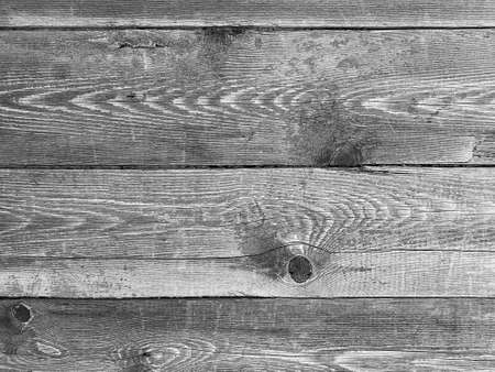 木の切り株の写真 イラスト素材一覧 79 367件 ストックフォトのamanaimages Plus