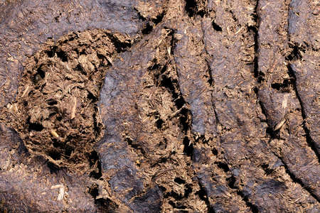 dung feces texture backgroundの写真素材