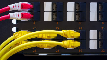 Multi Colored Network Cables Connected to Switch, network technology concept