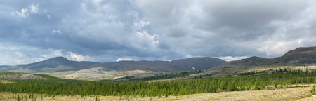 Beautiful summer mountain landscape.の写真素材