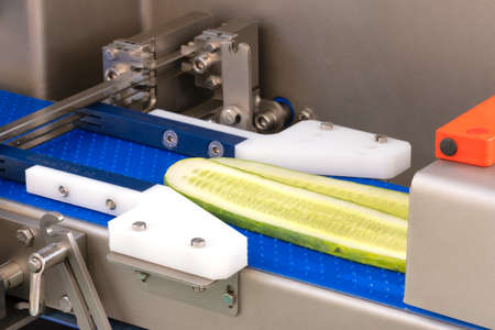 Production line conveyor for food packagingの写真素材