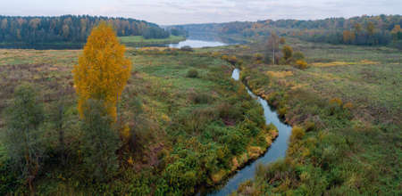 Beautiful calm autumn landscape with forest, field, stream and yellow birchの写真素材