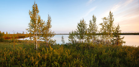 Summer panorama landscape of sunset on lake, north, siberian, tundra. Vacation travel conceptの写真素材