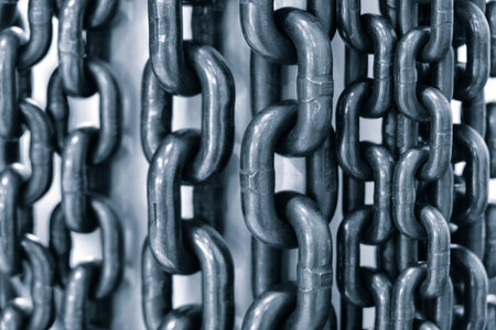 Black and white close up in blue toneの写真素材