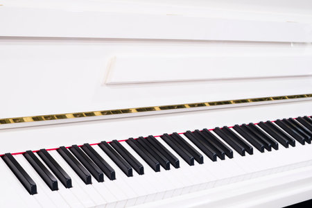Grand piano, Classic piano key with musician hands playingの写真素材