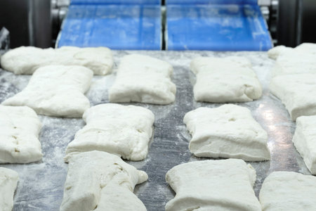 Conveyor belt with pieces of cheese dough ready to be placed in a mold and baked in different shapes and sizes, all lined up on the conveyor belt.の写真素材