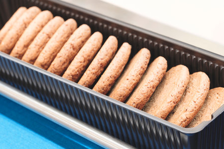 A tray of cookies is sitting on a counter. The cookies are all the same size and are arranged in a rowの写真素材