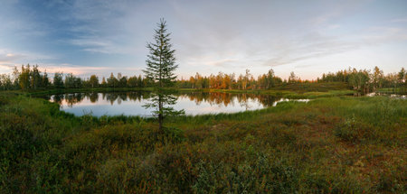 Beautiful summer northern landscape, sunset over the lake with a larch on the shore, silence and...