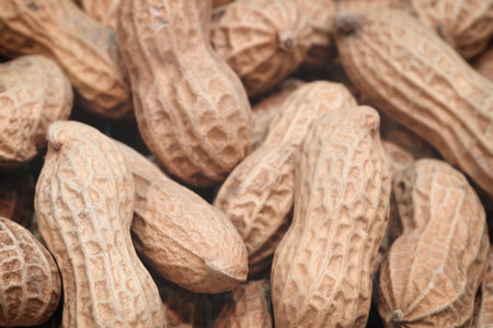 A bunch of peanuts are shown in a close up. The peanuts are all different sizes and shapesの写真素材