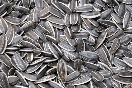 A bunch of black and white seeds are scattered on the ground. The seeds are small and black, and...