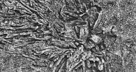 Large metal with a lot of texture and lots of small abstract details. The metal structure is very rough and has many protrusions and ridges.の写真素材