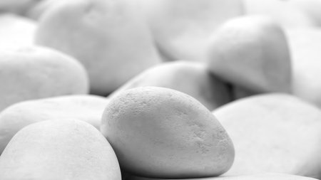 A close up of white rocks with a grayish tint. The rocks are scattered and appear to be of various...