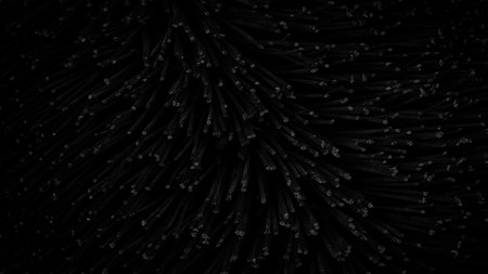 Black textured background of a bunch of black wires. The wires are arranged in a way that they look like they are growing out of the ground, creating a sense of depth and dimensionの写真素材