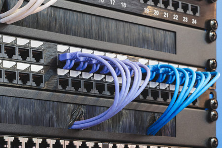 A row of cables with different colors and numbers. The cables are connected to a black box. Internet...