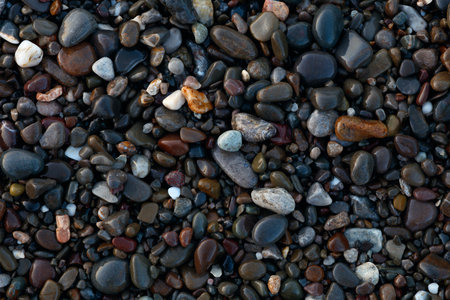 A rocky beach with many scattered stones. The stones are wet, of different sizes and colors, creating a varied and interesting landscape.の写真素材