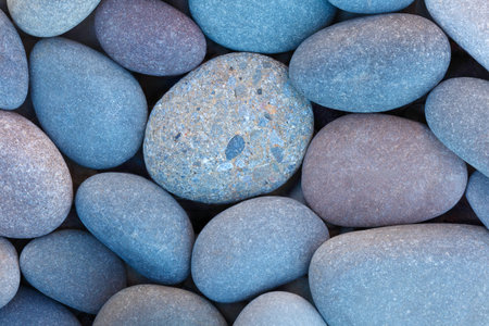 Pebbles stones on seashore as texture background for design of web banner template page. many stones and they are different in color and size, dry stones illuminated by sunの写真素材