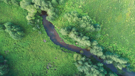 A river flows through a lush green field. The trees along the banks are tall and dense. A bird's eye...
